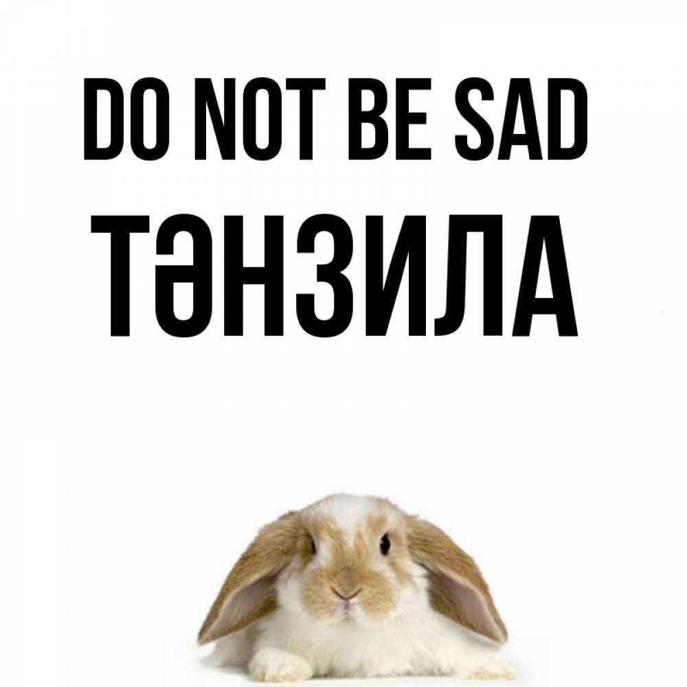 Greetings card с именем, ТӘНЗИЛА Do not be sad коричнево белый заяц с большими ушками Greetings with text for free download 