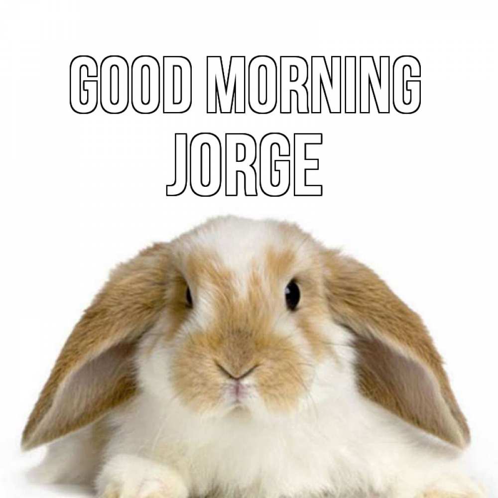 Greetings card с именем, Jorge Good morning прикольные открытки на каждый день Greetings with text for free download 