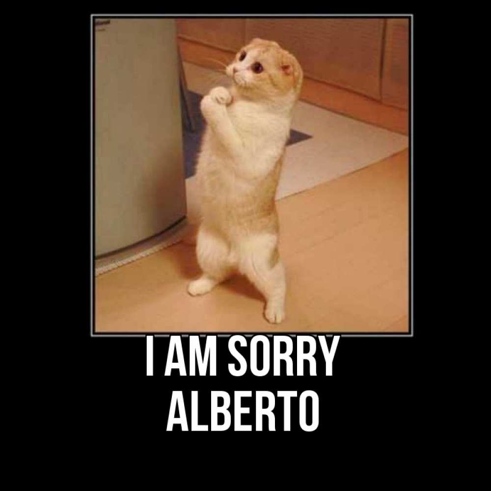 Greetings card с именем, Alberto I am sorry открытка с милым несчастным котиком просящим прощения Greetings with text for free download 