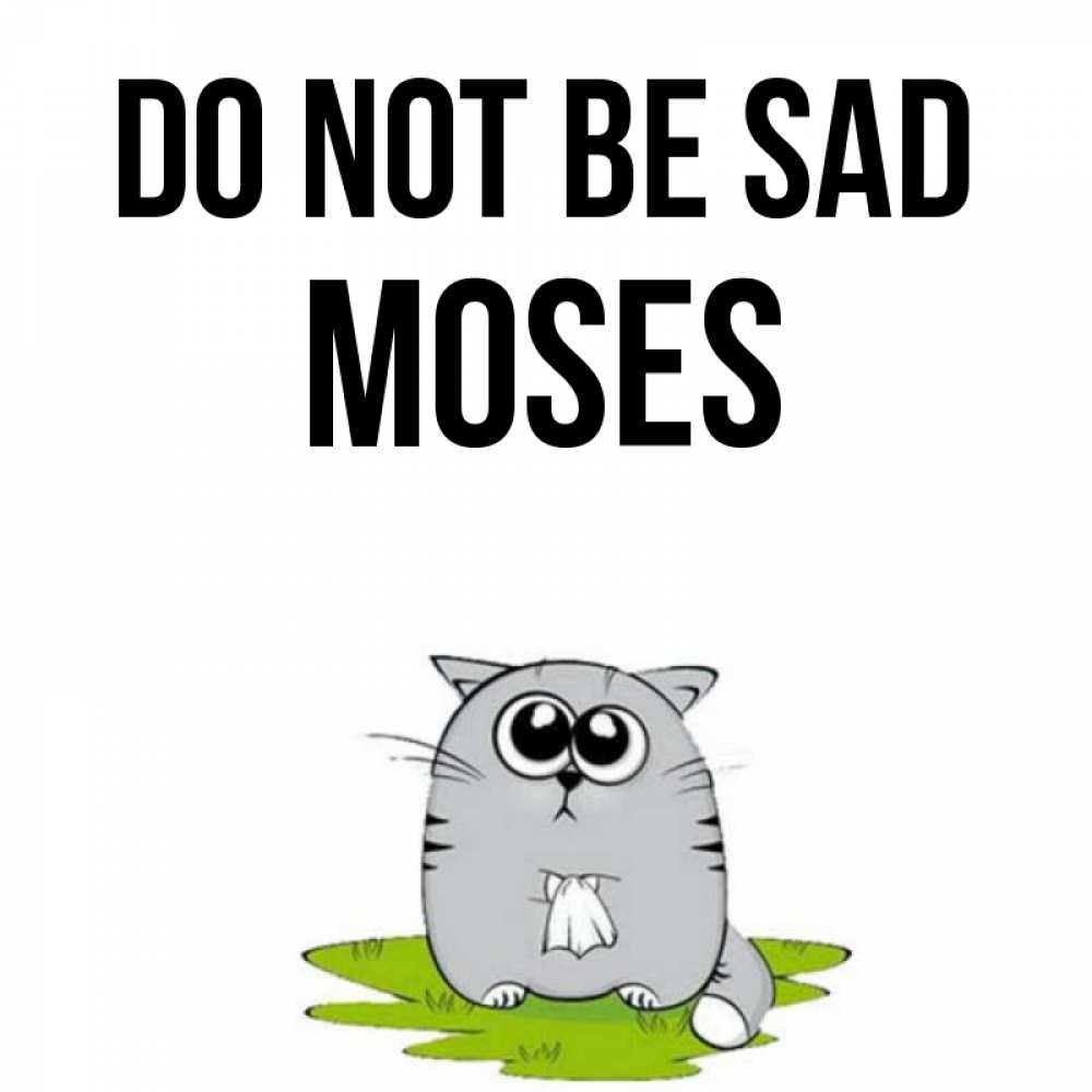 Greetings card с именем, Moses Do not be sad грустный котяра Greetings with text for free download 