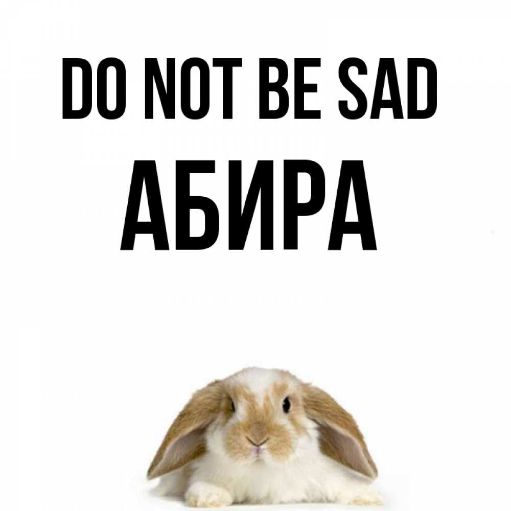 Greetings card с именем, АБИРА Do not be sad коричнево белый заяц с большими ушками Greetings with text for free download 