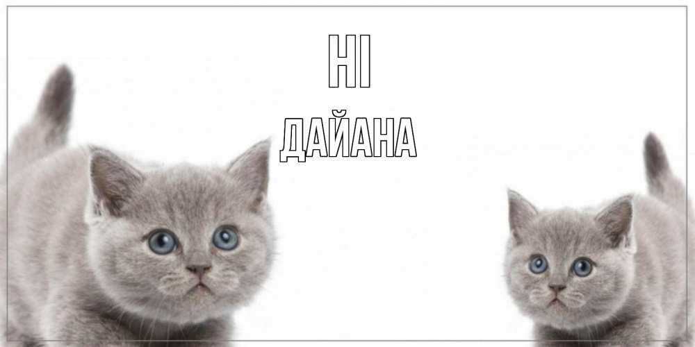 Greetings card с именем, ДАЙАНА Hi коты Greetings with text for free download 