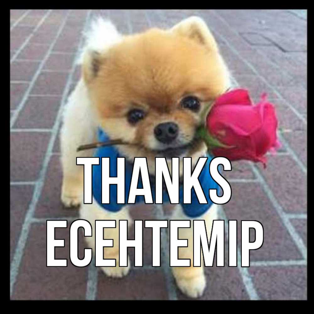 Greetings card с именем, Есентемір Thanks спасибо и дарю тебе цветок Greetings with text for free download 