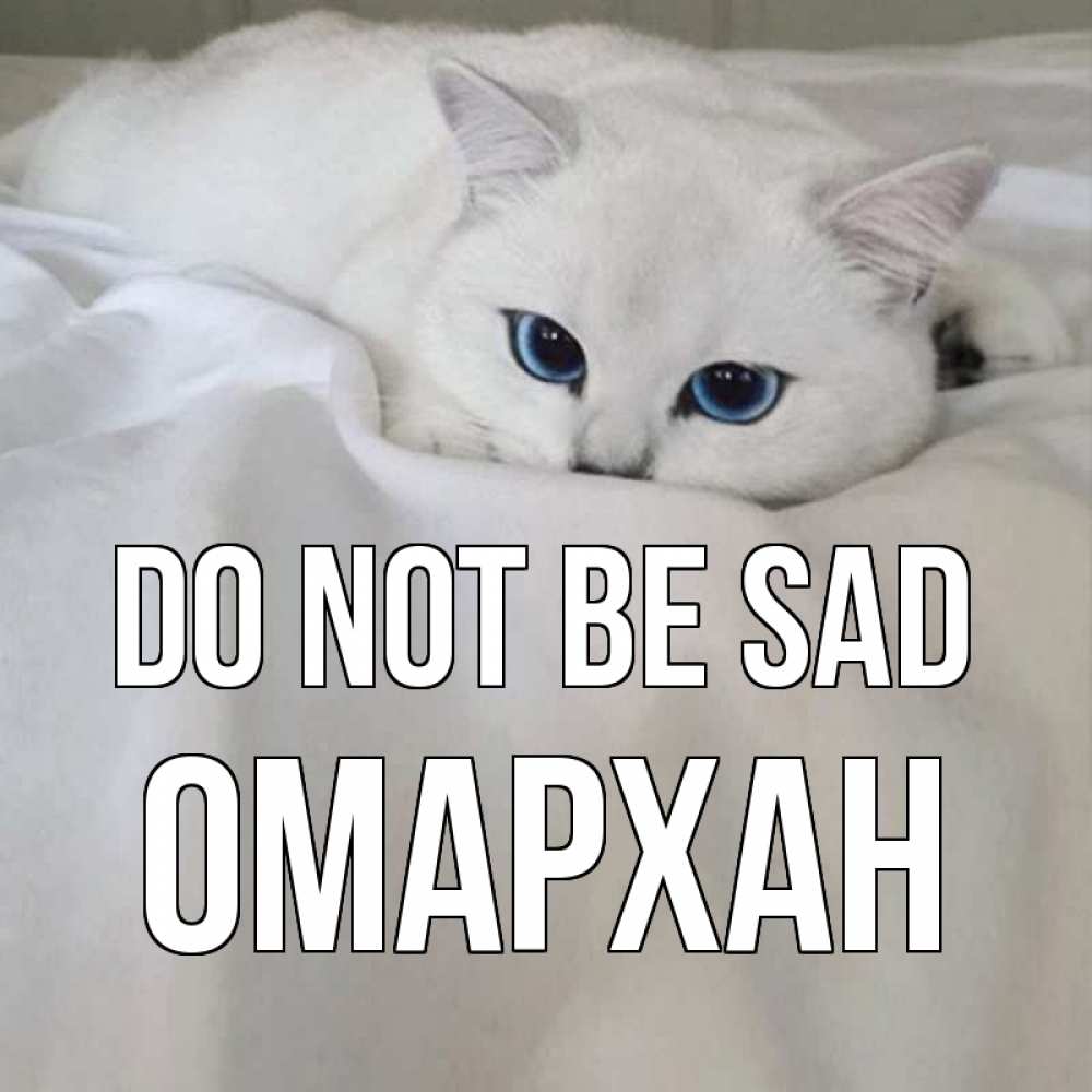 Greetings card с именем, ОМАРХАН Do not be sad белый кот с голубыми глазами на белоснежной кровати Greetings with text for free download 