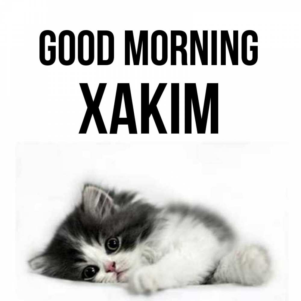 Greetings card с именем, ХАКІМ Good morning кот лапки Greetings with text for free download 