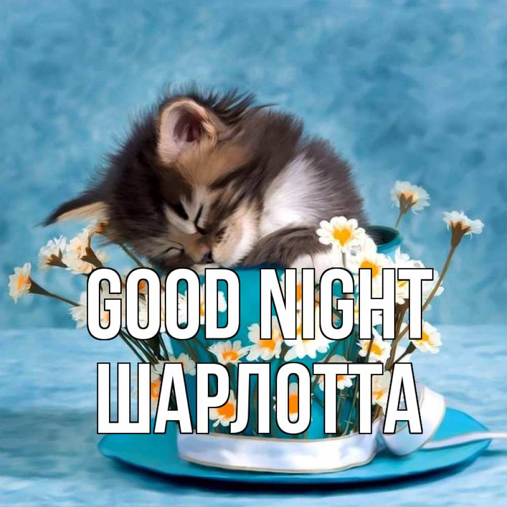 Greetings card с именем, Шарлотта Good night котенок спит в кружке с блюдцем Greetings with text for free download 