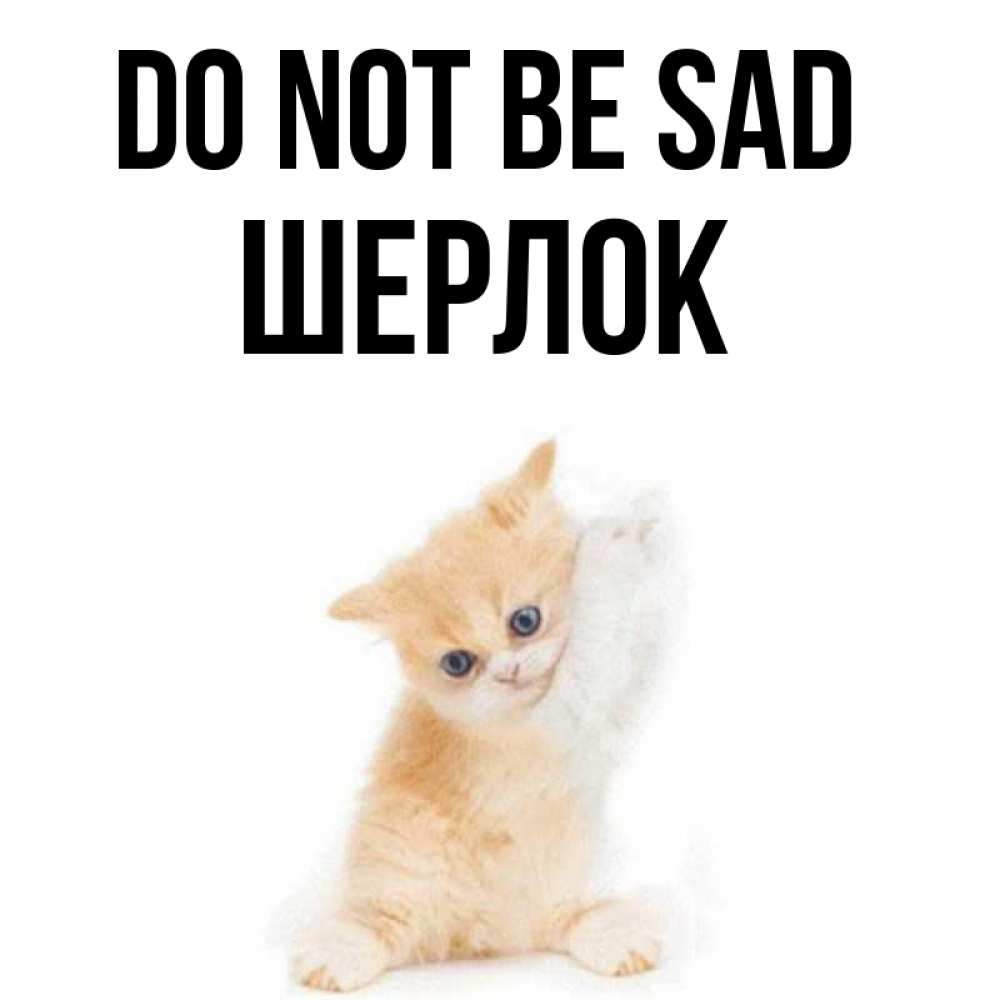 Greetings card с именем, Шерлок Do not be sad просящий кот Greetings with text for free download 