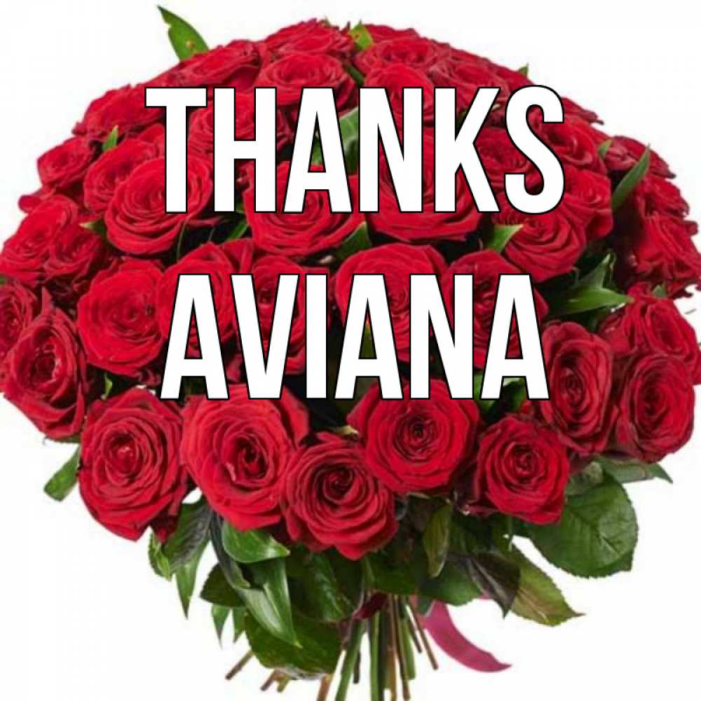 Greetings card с именем, Aviana Thanks букет красных роз Greetings with text for free download 