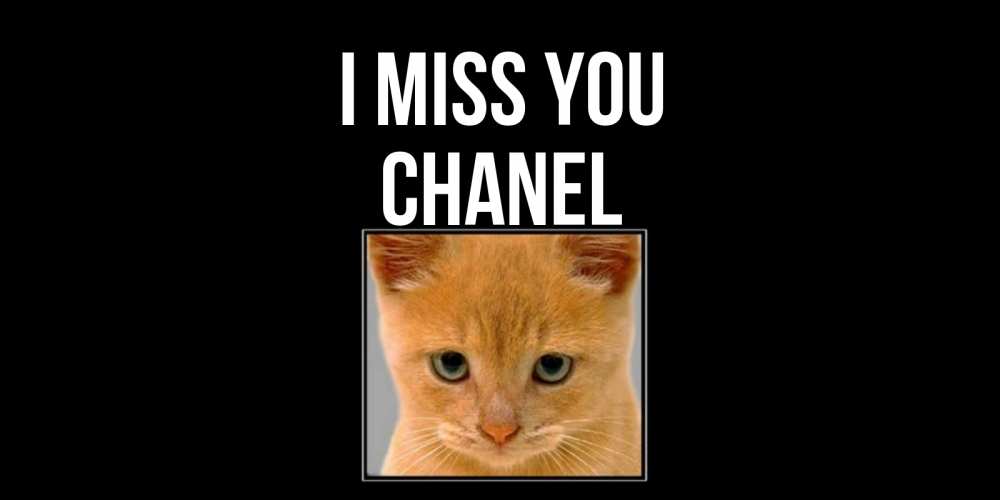 Greetings card с именем, Chanel I miss you открытки рыжий котенок скучает по тебе Greetings with text for free download 