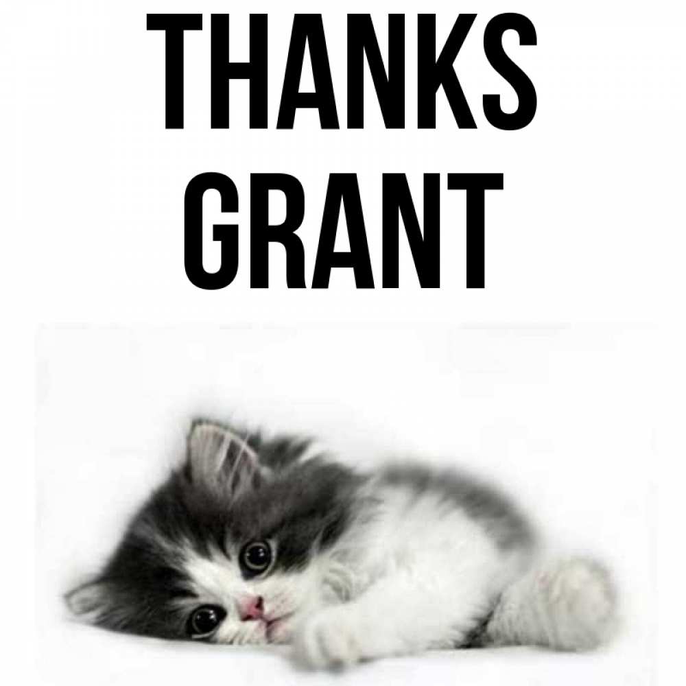 Greetings card с именем, Grant Thanks черный и белый кот Greetings with text for free download 