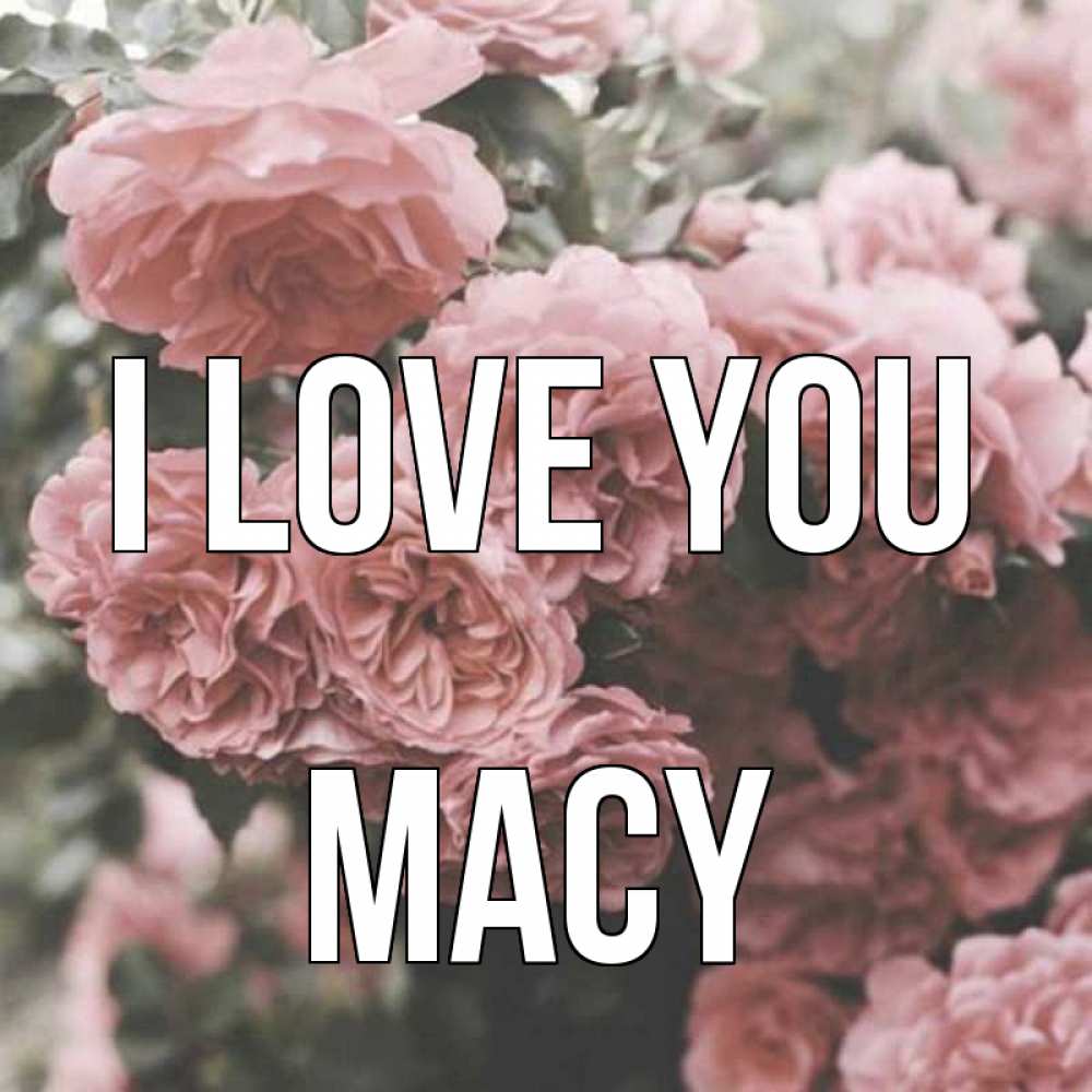 Greetings card с именем, Macy I love you розы 3 Greetings with text for free download 