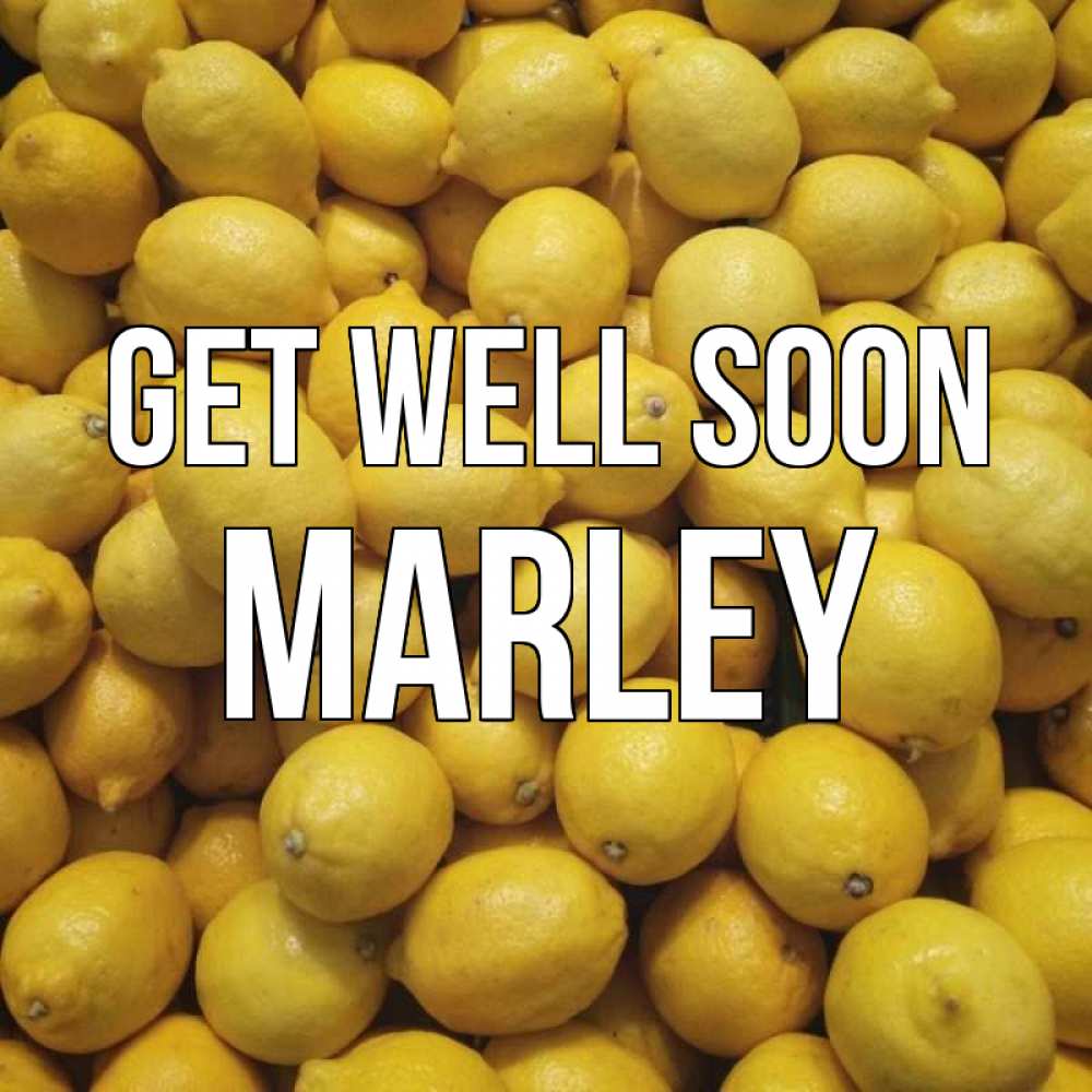 Greetings card с именем, Marley Get well soon это точно поможет Greetings with text for free download 