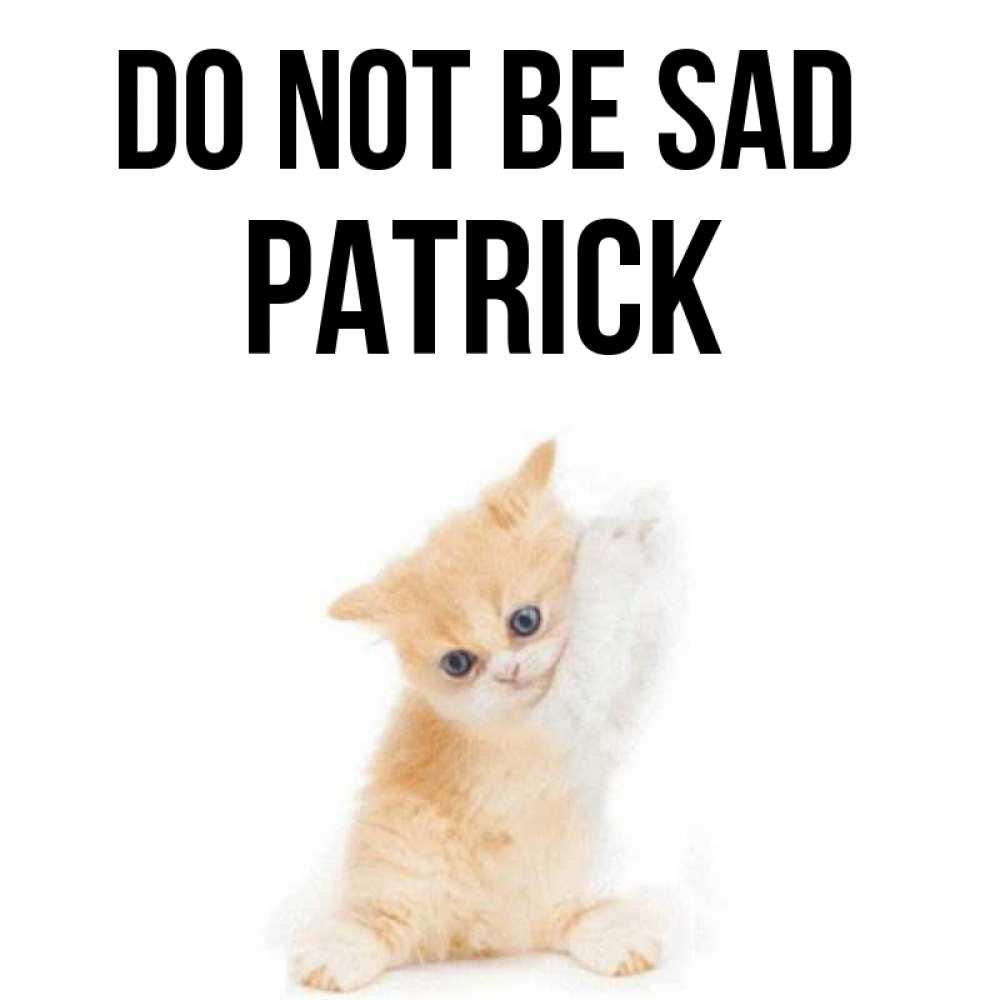 Greetings card с именем, Patrick Do not be sad просящий кот Greetings with text for free download 