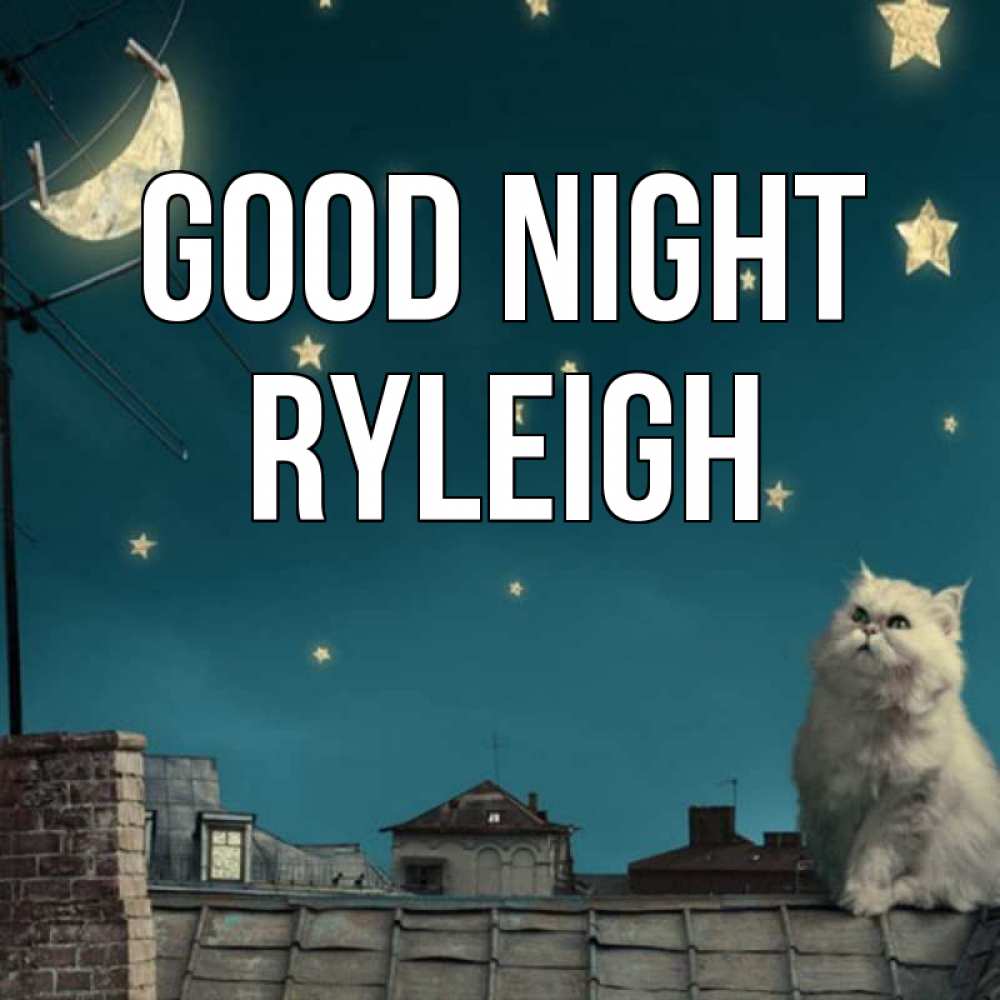 Greetings card с именем, Ryleigh Good night белый кот сидит на крыше Greetings with text for free download 