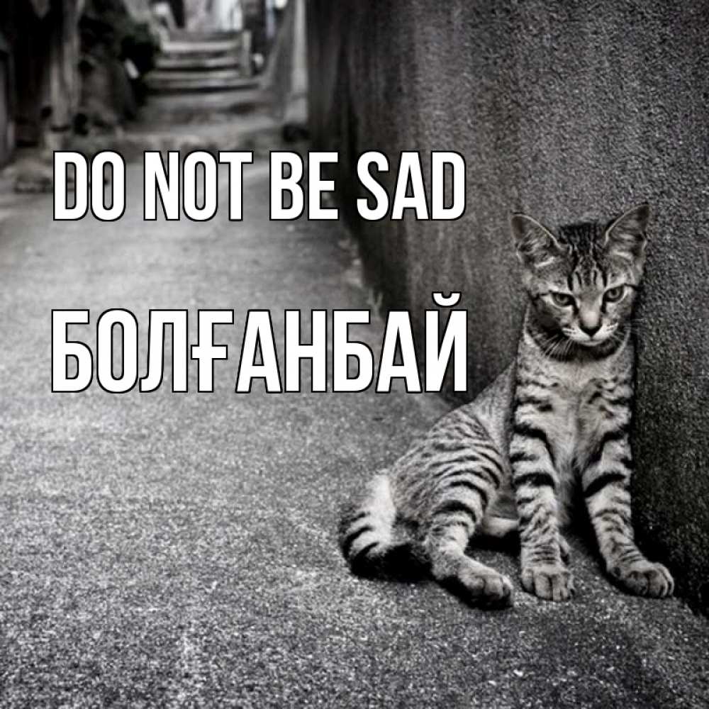 Greetings card с именем, Болғанбай Do not be sad скучающий котик Greetings with text for free download 