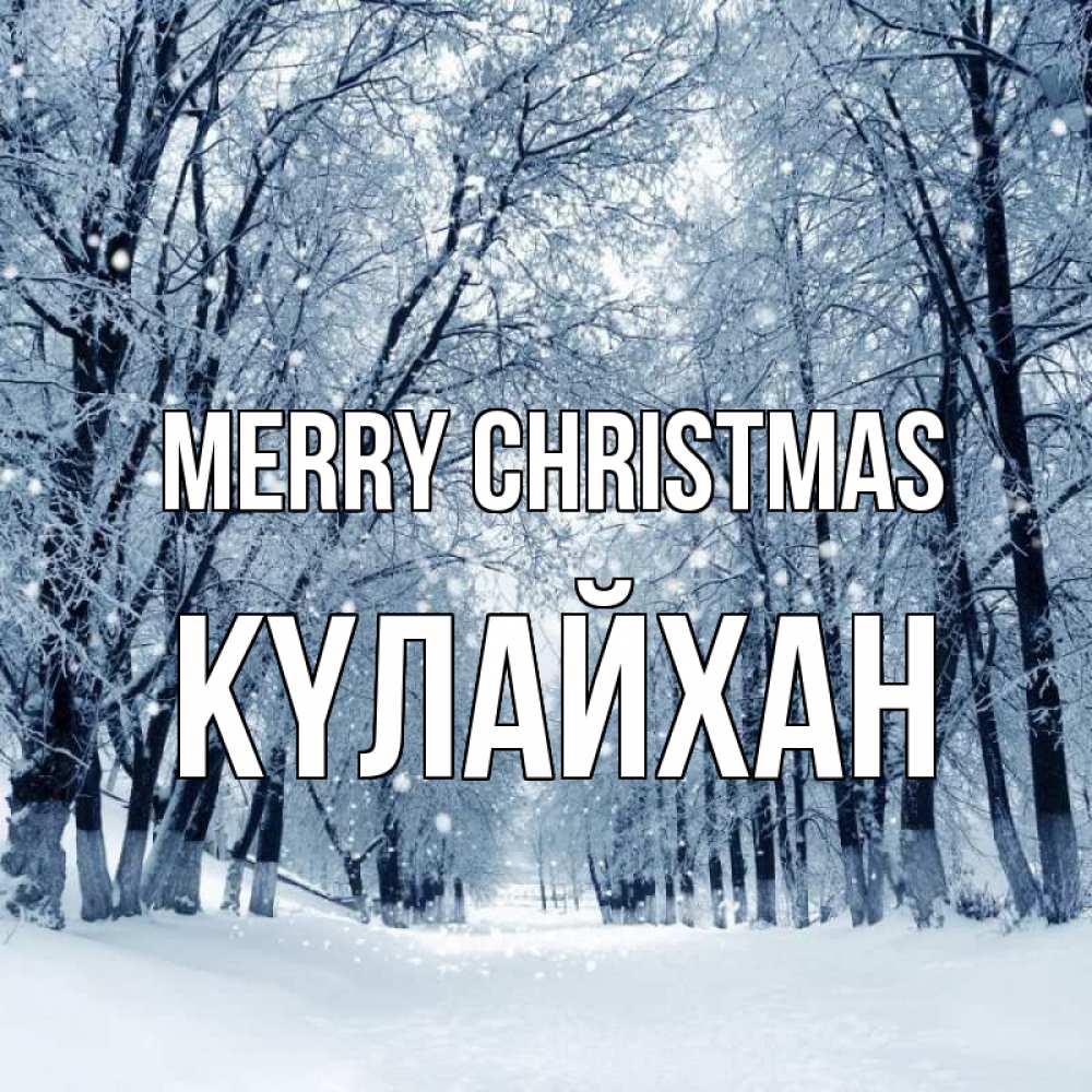 Greetings card с именем, КҮЛАЙХАН Merry Christmas снег, лес, парк Greetings with text for free download 