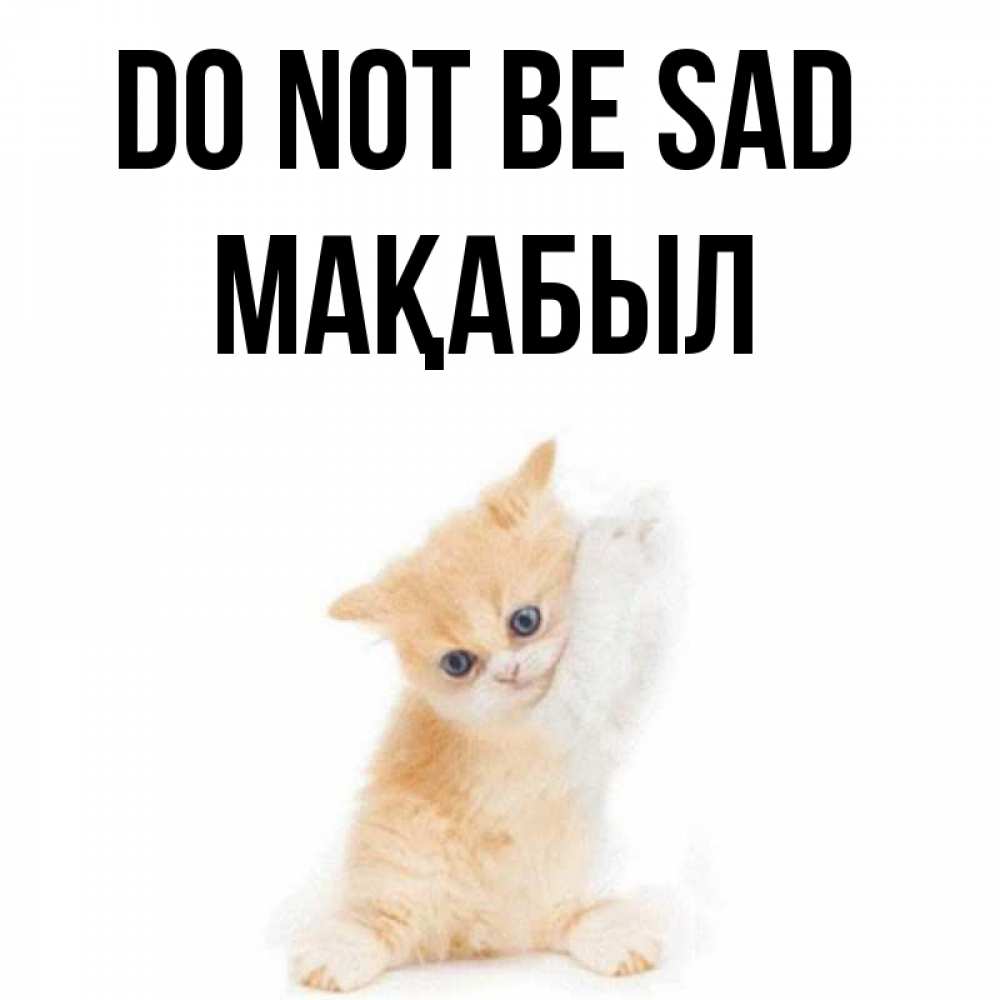 Greetings card с именем, МАҚАБЫЛ Do not be sad просящий кот Greetings with text for free download 