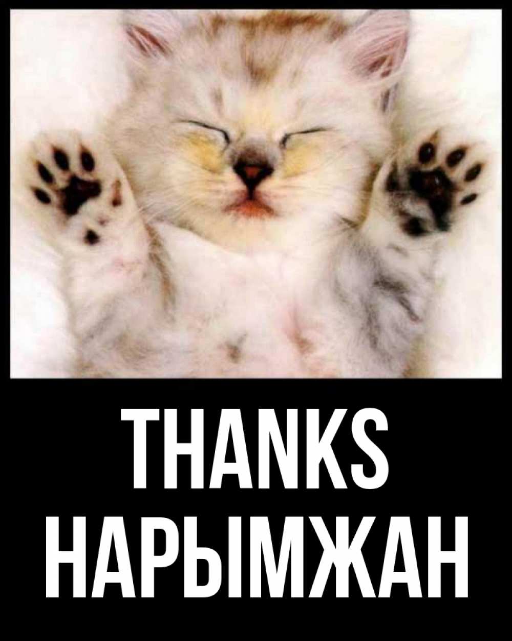 Greetings card с именем, НАРЫМЖАН Thanks маленький котенок Greetings with text for free download 