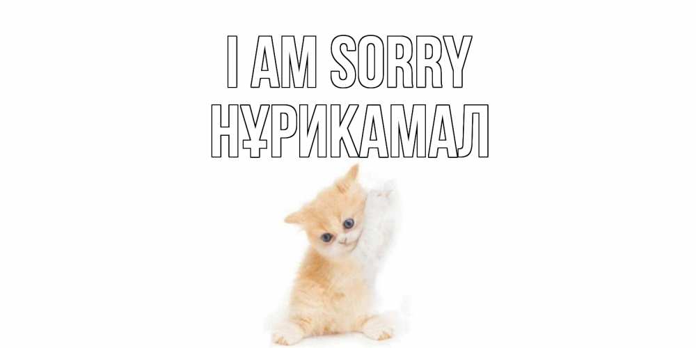 Greetings card с именем, НҰРИКАМАЛ I am sorry кот Greetings with text for free download 