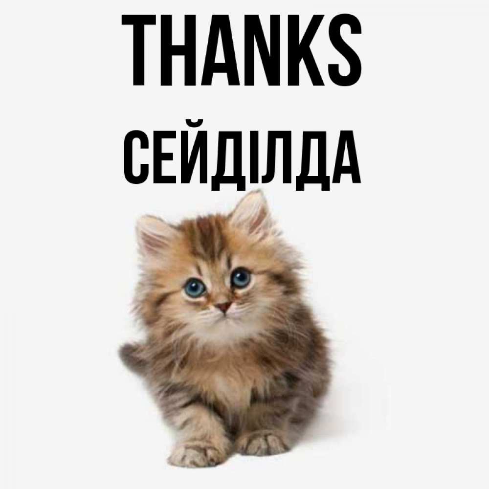 Greetings card с именем, СЕЙДІЛДА Thanks пушистый котик Greetings with text for free download 