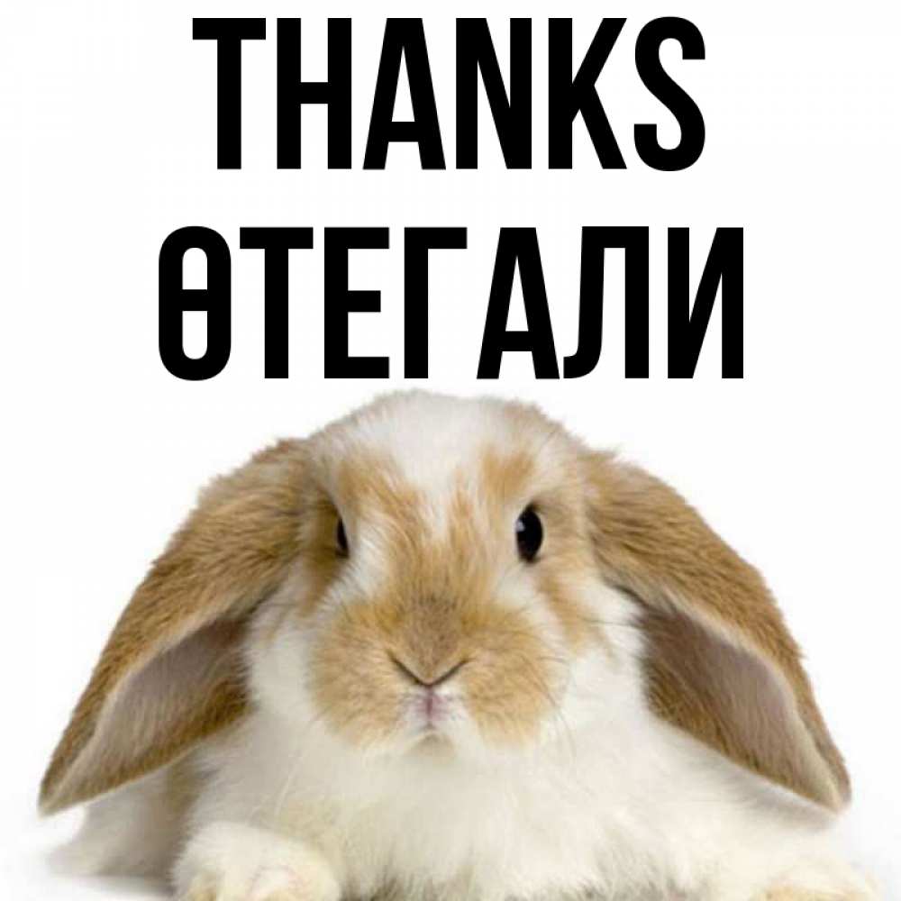 Greetings card с именем, ӨТЕГАЛИ Thanks коричнево белый заяц Greetings with text for free download 