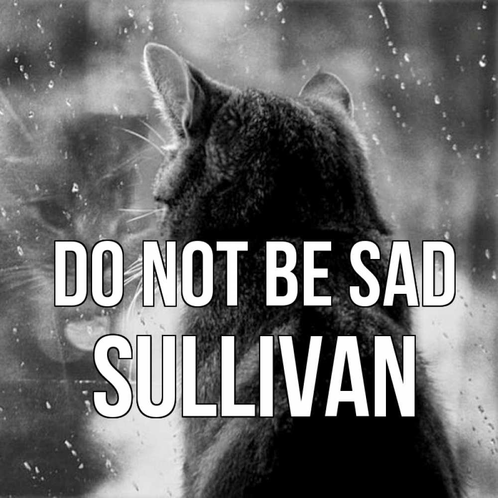 Greetings card с именем, Sullivan Do not be sad отражение кота 1 Greetings with text for free download 