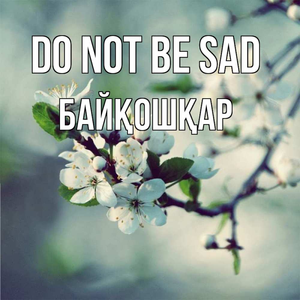 Greetings card с именем, Байқошқар Do not be sad яблоня в цвету 1 Greetings with text for free download 
