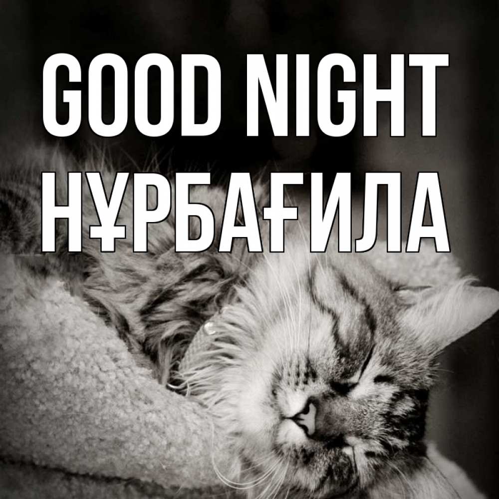 Greetings card с именем, НҰРБАҒИЛА Good night котярик пушистый Greetings with text for free download 