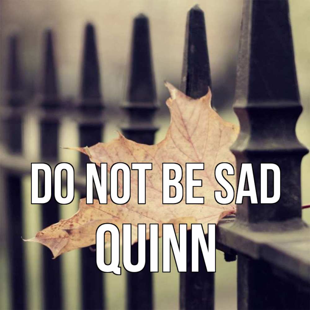 Greetings card с именем, Quinn Do not be sad лист клена Greetings with text for free download 