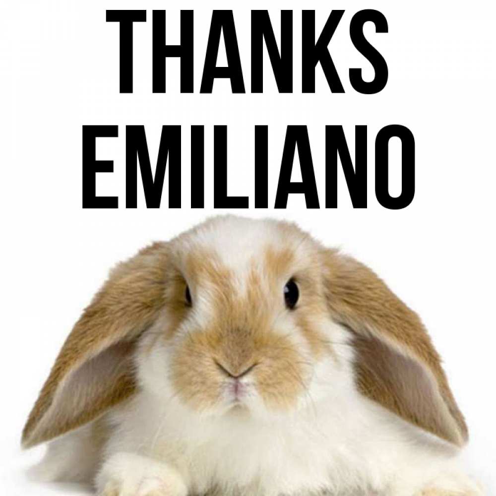 Greetings card с именем, Emiliano Thanks коричнево белый заяц Greetings with text for free download 