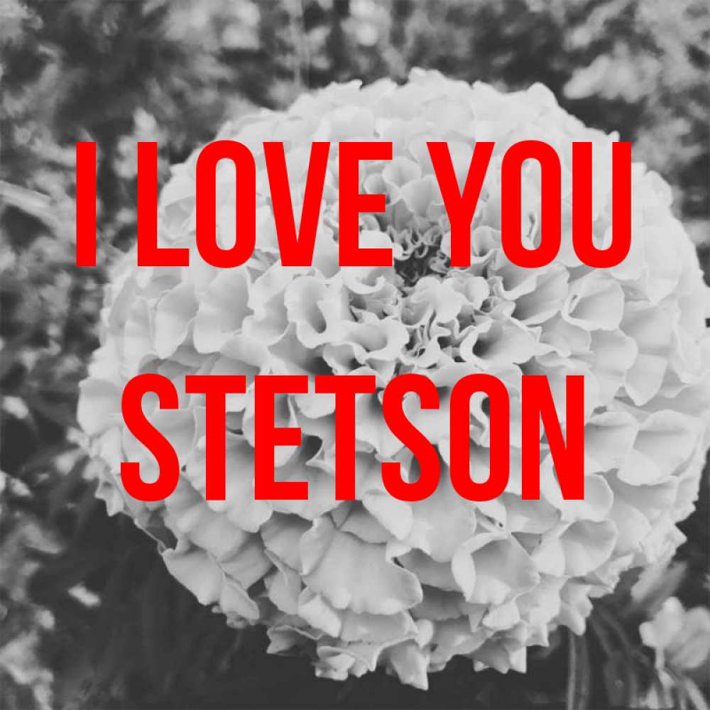 Greetings card с именем, Stetson I love you подпись Greetings with text for free download 