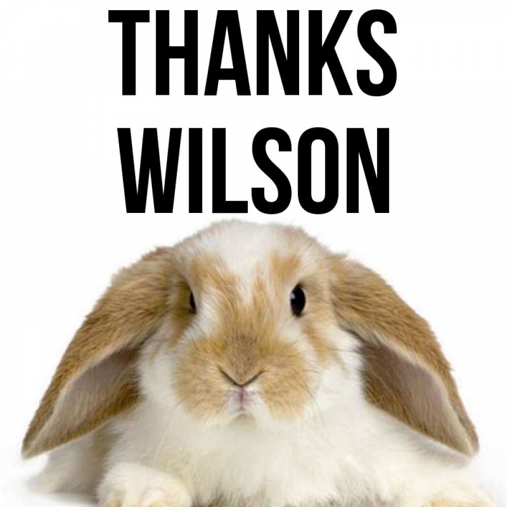 Greetings card с именем, Wilson Thanks коричнево белый заяц Greetings with text for free download 