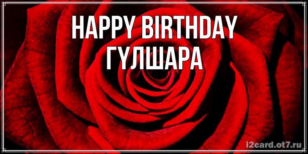 Greetings card с именем, ГҮЛШАРА Happy Birthday алая роза Greetings with text for free download 