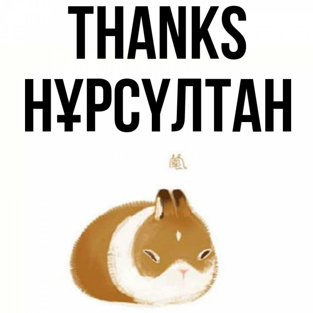 Greetings card с именем, НҰРСҮЛТАН Thanks коричнево белый домашний питомец Greetings with text for free download 