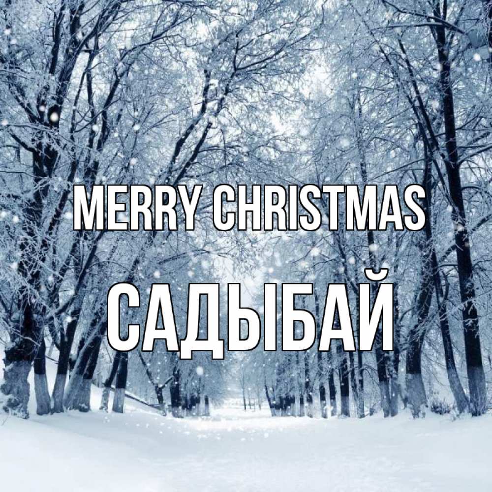 Greetings card с именем, САДЫБАЙ Merry Christmas снег, лес, парк Greetings with text for free download 