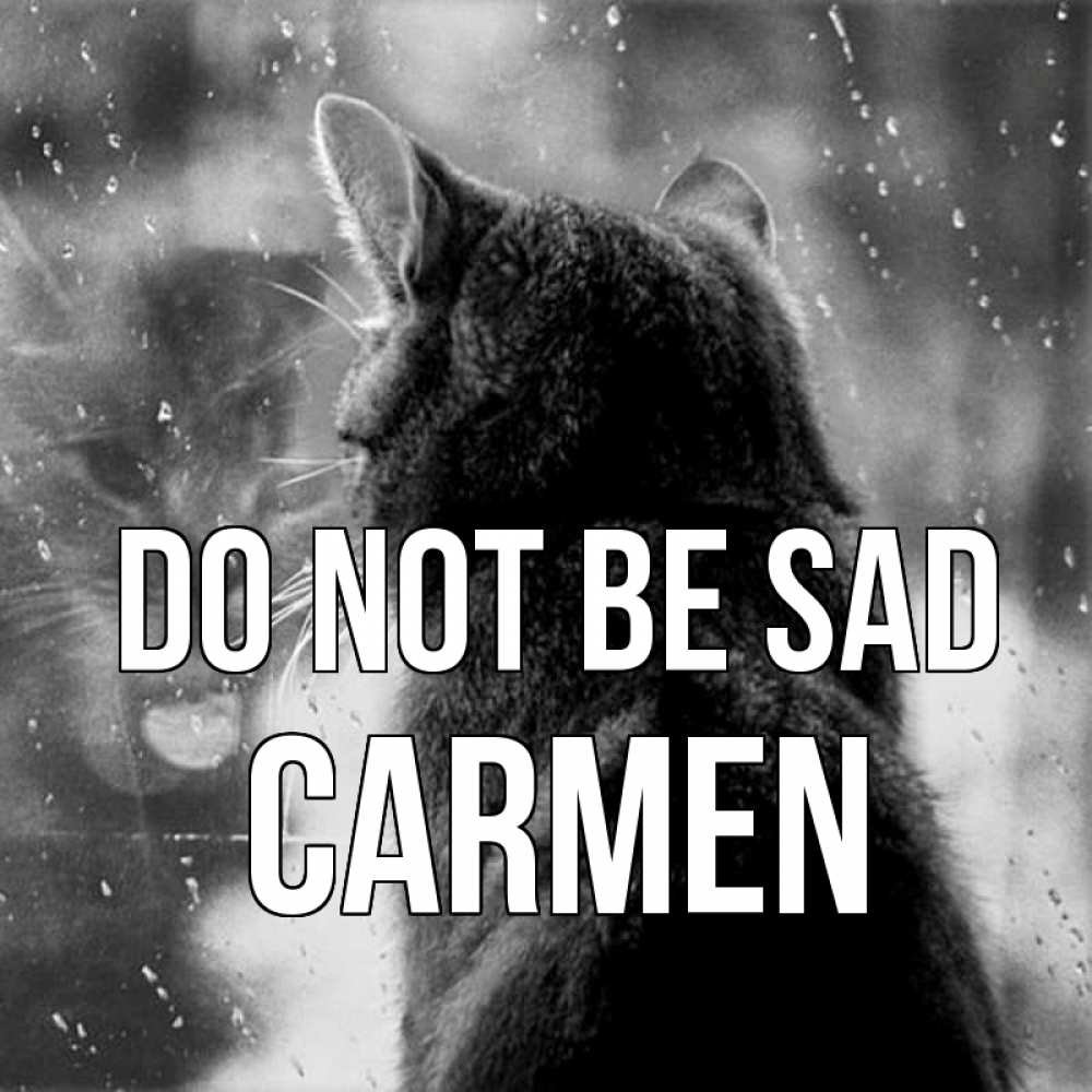 Greetings card с именем, Carmen Do not be sad отражение кота 1 Greetings with text for free download 