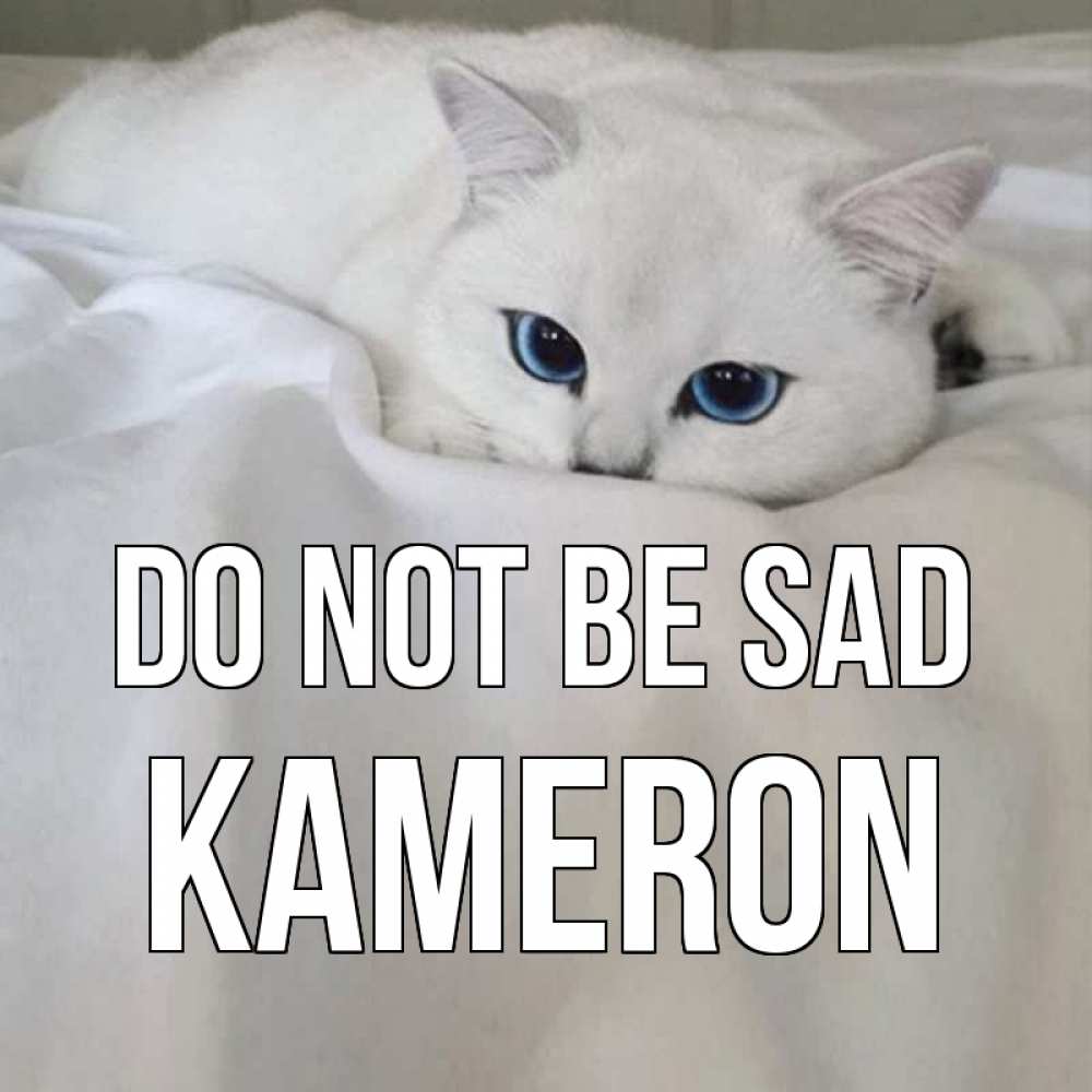 Greetings card с именем, Kameron Do not be sad белый кот с голубыми глазами на белоснежной кровати Greetings with text for free download 