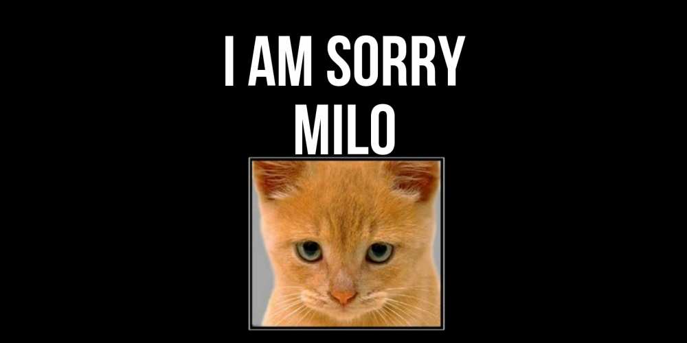 Greetings card с именем, Milo I am sorry рыжий грустный кот просит прощения Greetings with text for free download 