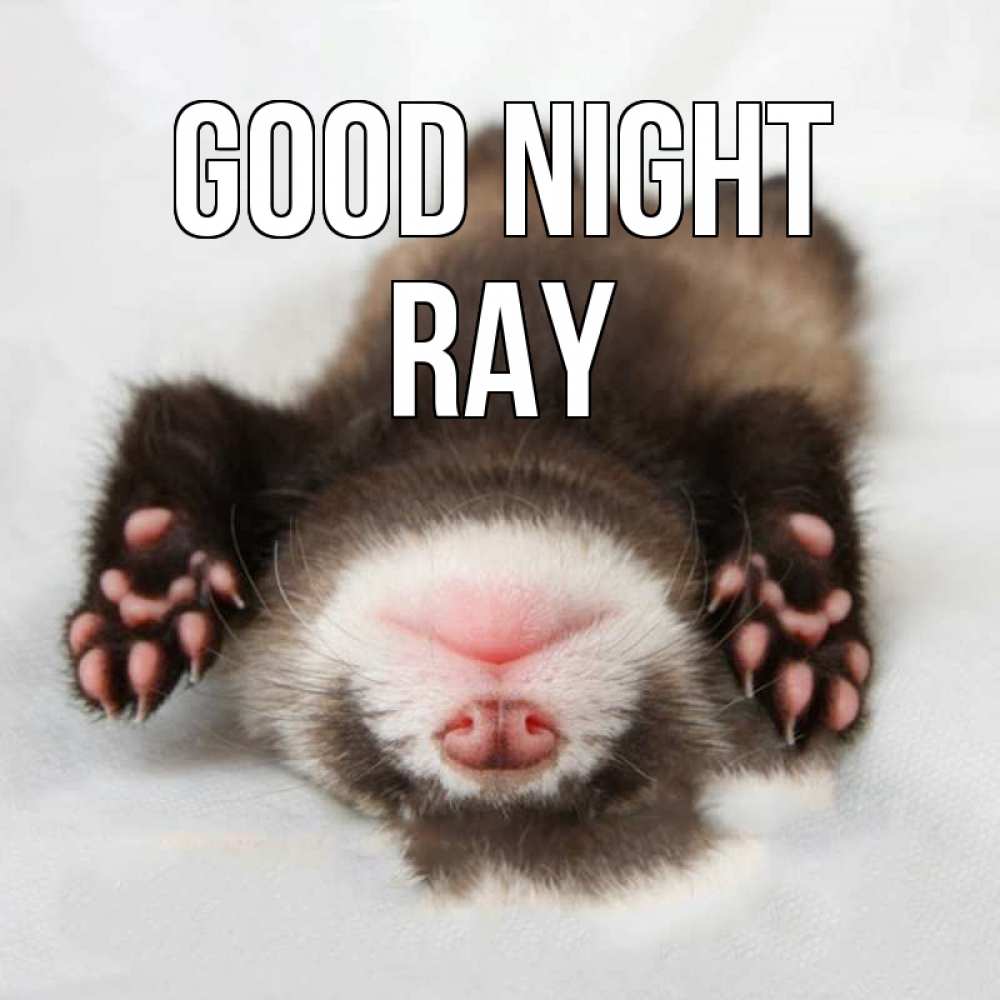 Greetings card с именем, Ray Good night зверек Greetings with text for free download 
