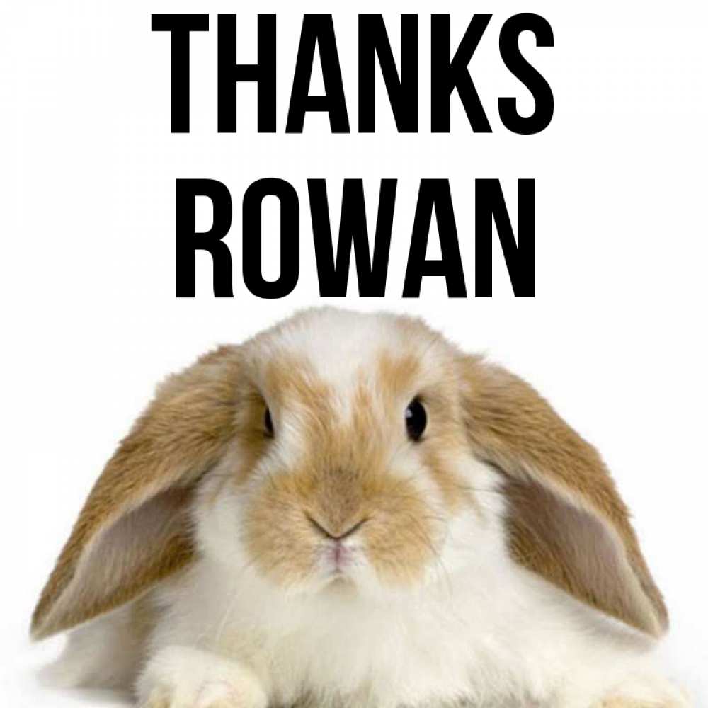 Greetings card с именем, Rowan Thanks коричнево белый заяц Greetings with text for free download 