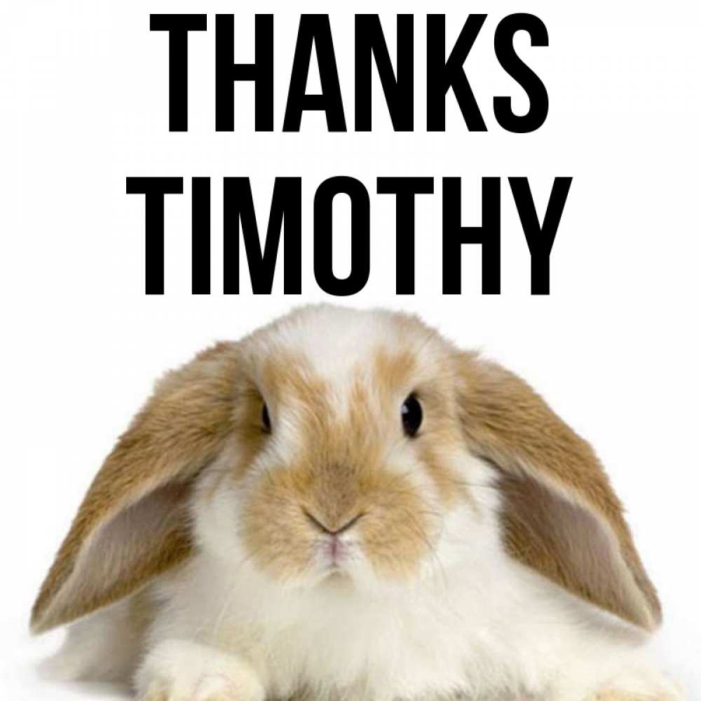Greetings card с именем, Timothy Thanks коричнево белый заяц Greetings with text for free download 
