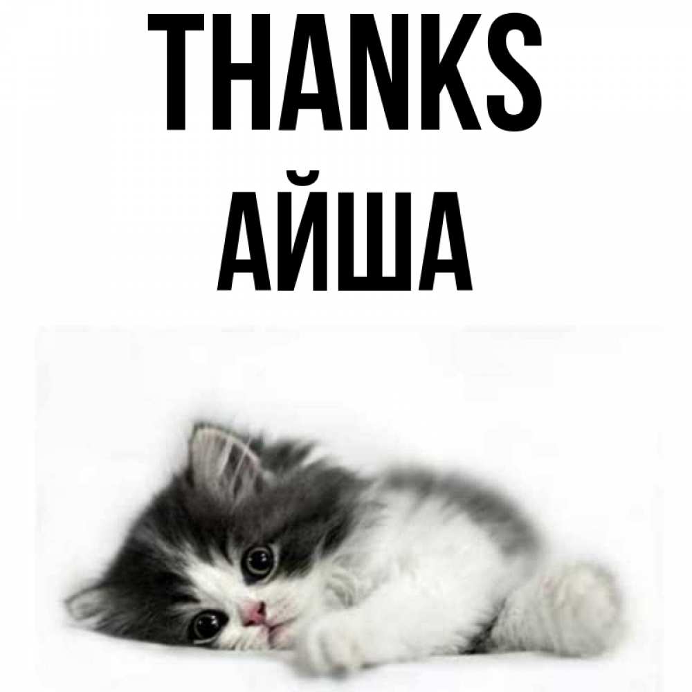 Greetings card с именем, АЙША Thanks черный и белый кот Greetings with text for free download 