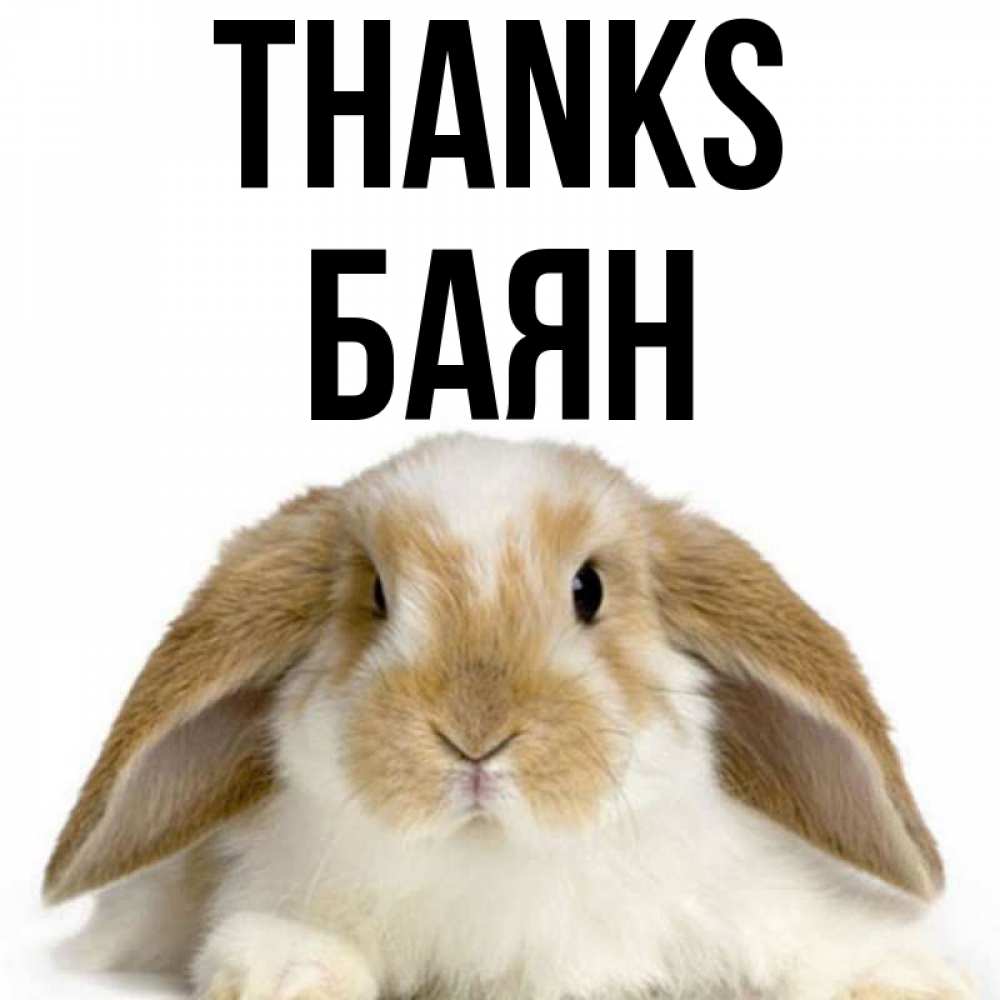 Greetings card с именем, Баян Thanks коричнево белый заяц Greetings with text for free download 