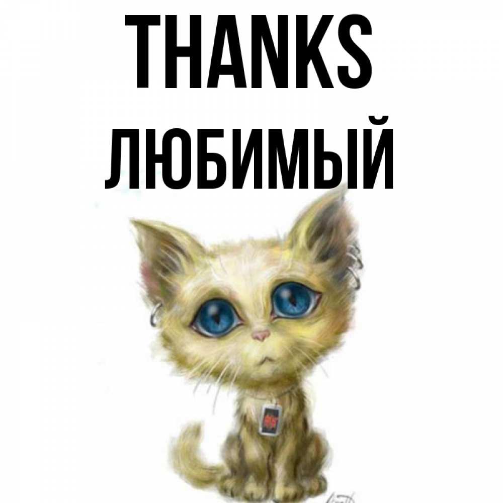 Greetings card с именем, Любимый Thanks рисованный кот благодарит вас Greetings with text for free download 