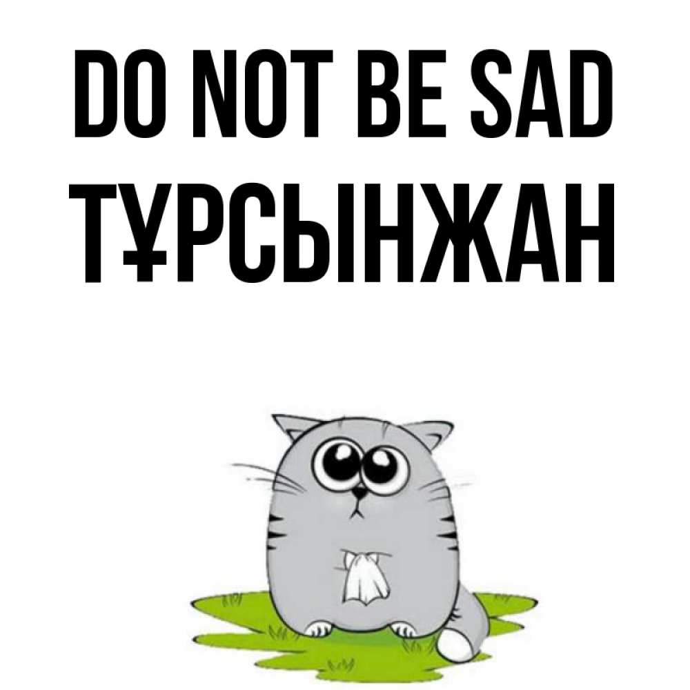 Greetings card с именем, ТҰРСЫНЖАН Do not be sad грустный котяра Greetings with text for free download 