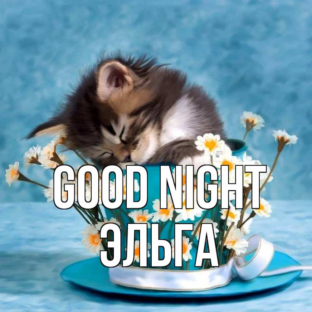 Greetings card с именем, Эльга Good night котенок спит в кружке с блюдцем Greetings with text for free download 