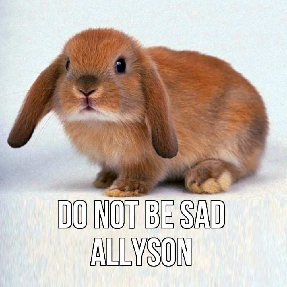 Greetings card с именем, Allyson Do not be sad рыжий зая Greetings with text for free download 