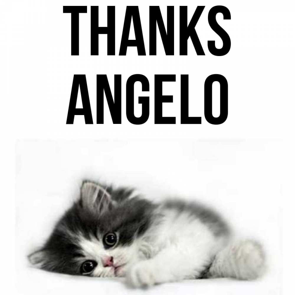 Greetings card с именем, Angelo Thanks черный и белый кот Greetings with text for free download 