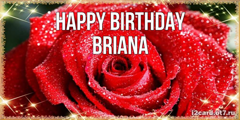 Greetings card с именем, Briana Happy Birthday роса и роза. открытка с красивой розой Greetings with text for free download 