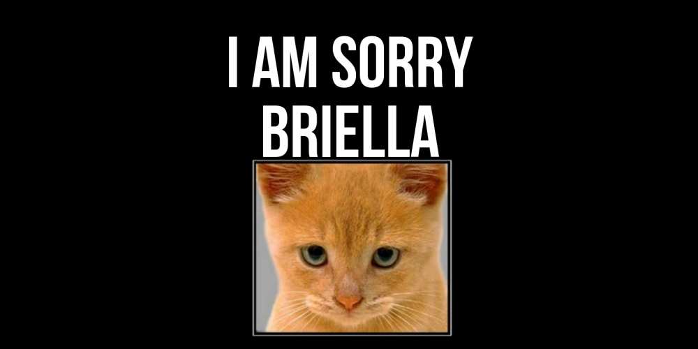 Greetings card с именем, Briella I am sorry рыжий грустный кот просит прощения Greetings with text for free download 